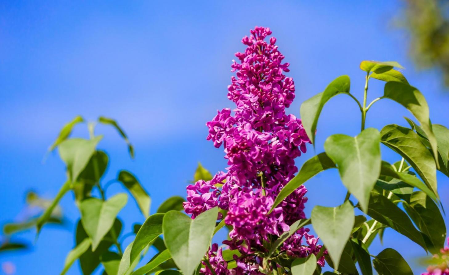 Drino Flo eğitim programı atölye ortamı