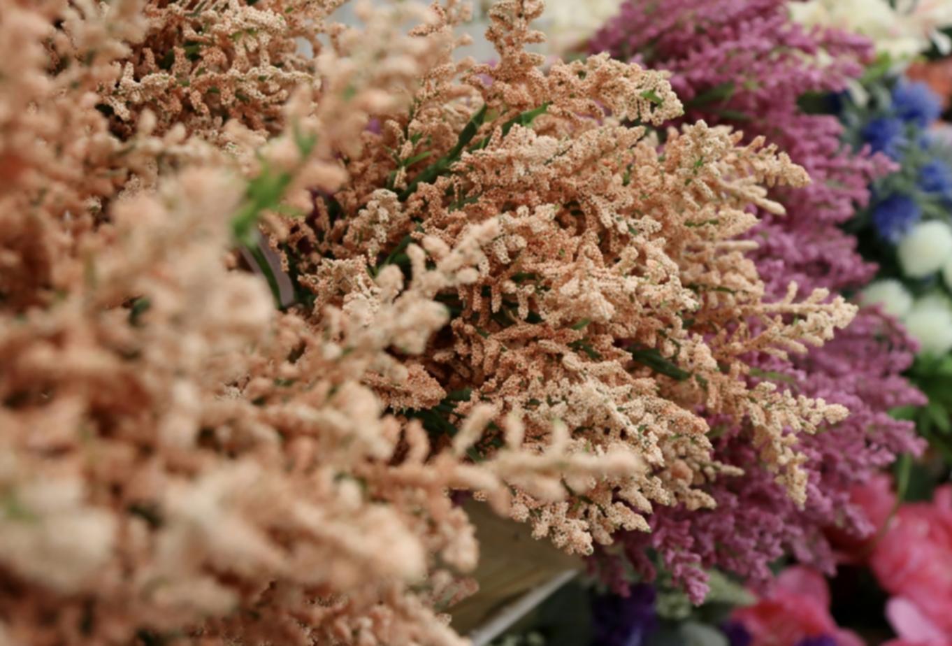 Drino Flo danışmanlık hizmeti sırasında bitki kontrolü